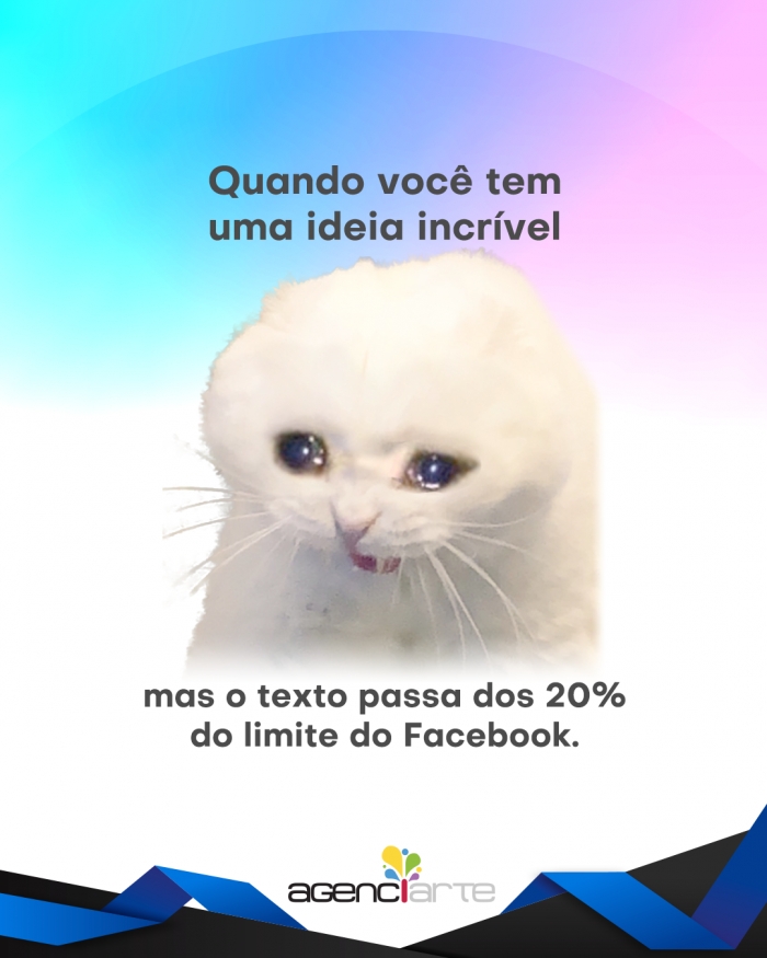 A regra é clara, não pode ultrapassar 20% da imagem com texto